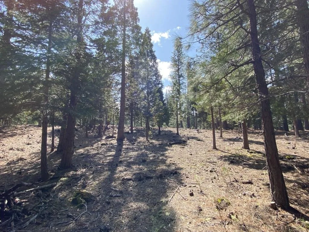 Lot 33 Glenhaven Ct, Weed — view 9 of 12