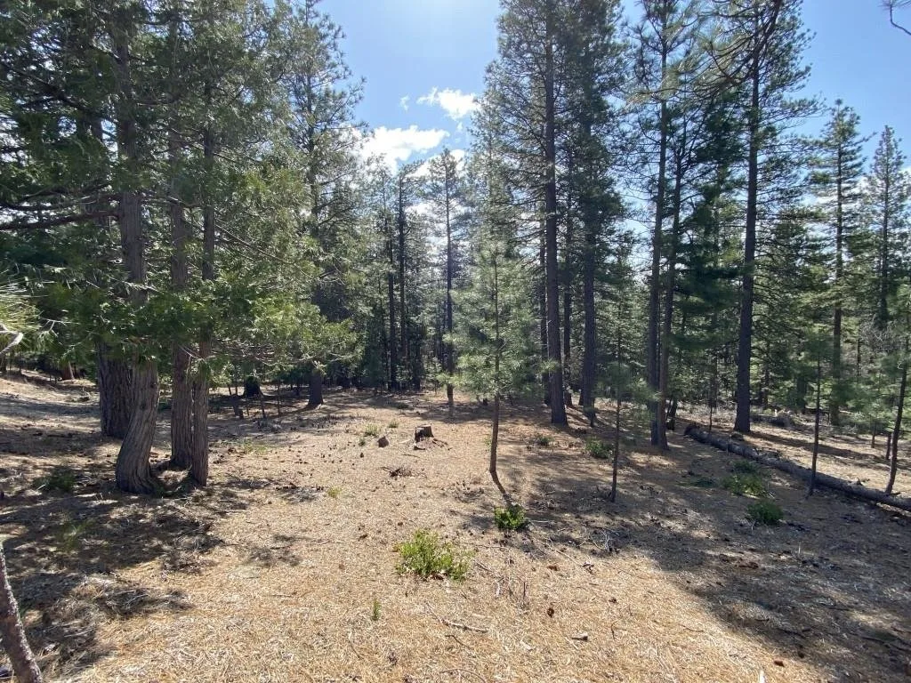 Lot 26 Meadow Ln, Weed — view 4 of 12