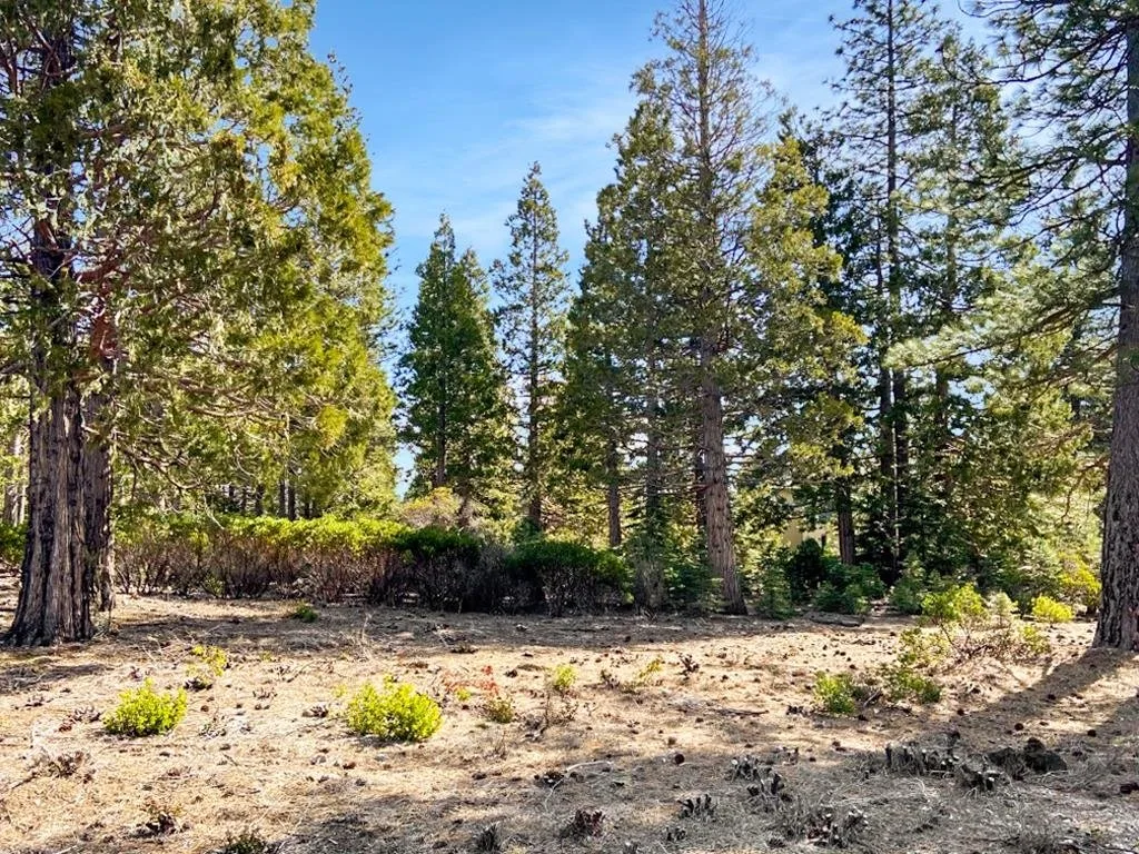 Lot 55 Hidden Meadow Dr, Weed — view 9 of 12