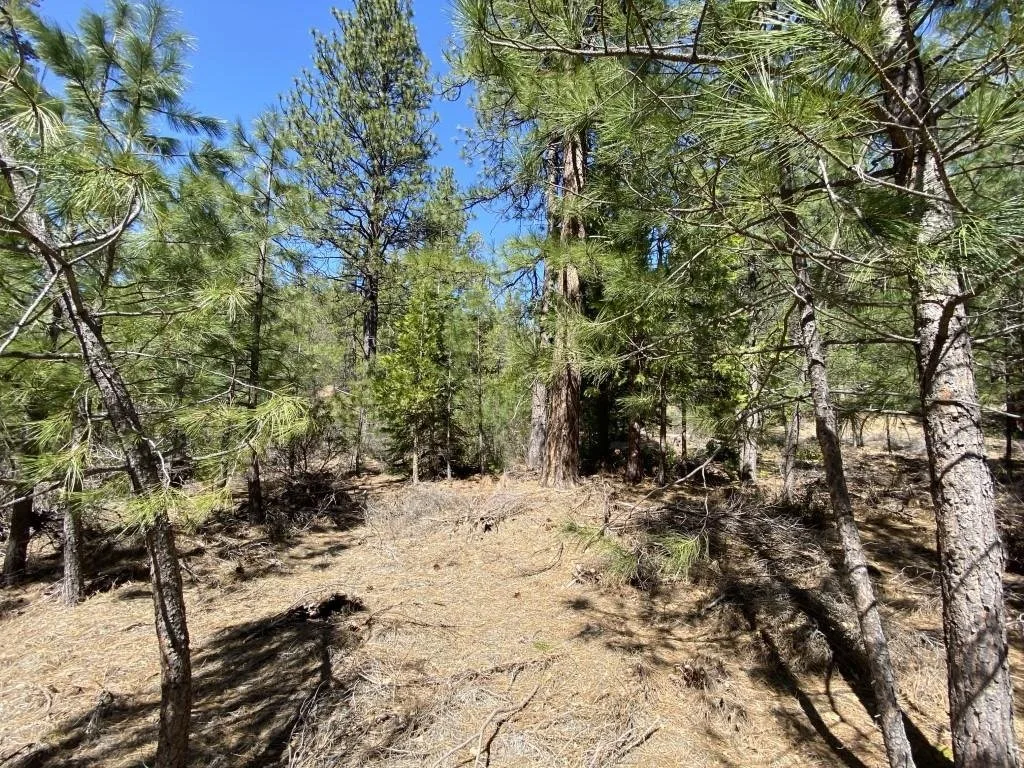 Lot 25 Meadow Ln, Weed — view 7 of 12