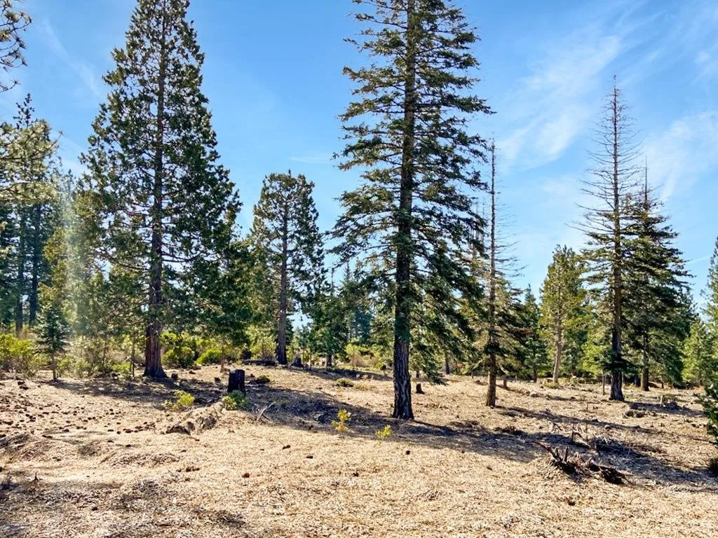 Lot 55 Hidden Meadow Dr, Weed — view 10 of 12