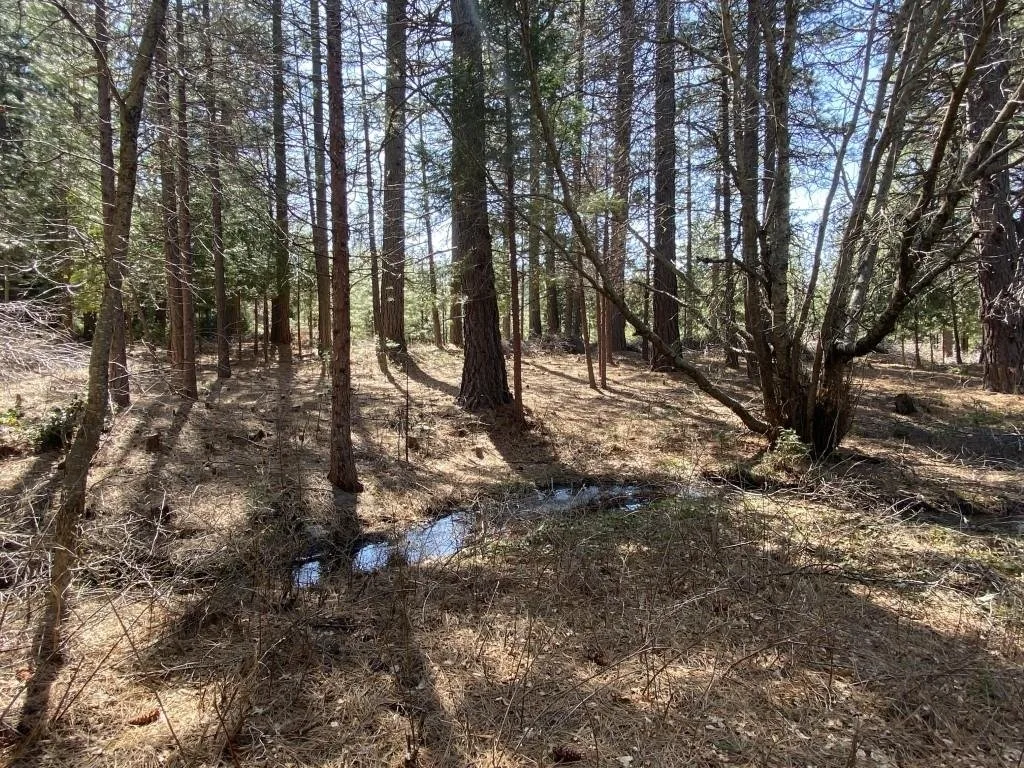 Lot 25 Meadow Ln, Weed — view 12 of 12
