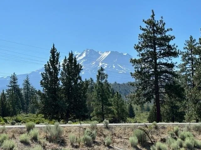 Blk 1 Lot 10 Big Springs Road, Weed — view 2 of 8