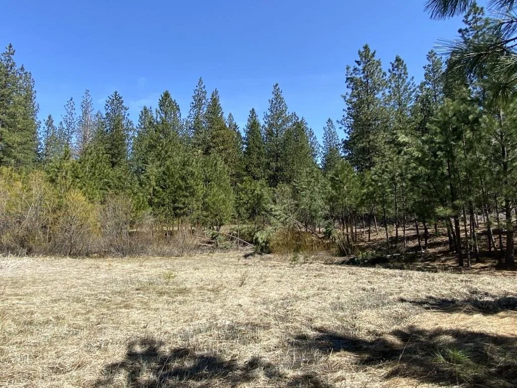 Lot 25 Meadow Ln, Weed — view 9 of 12