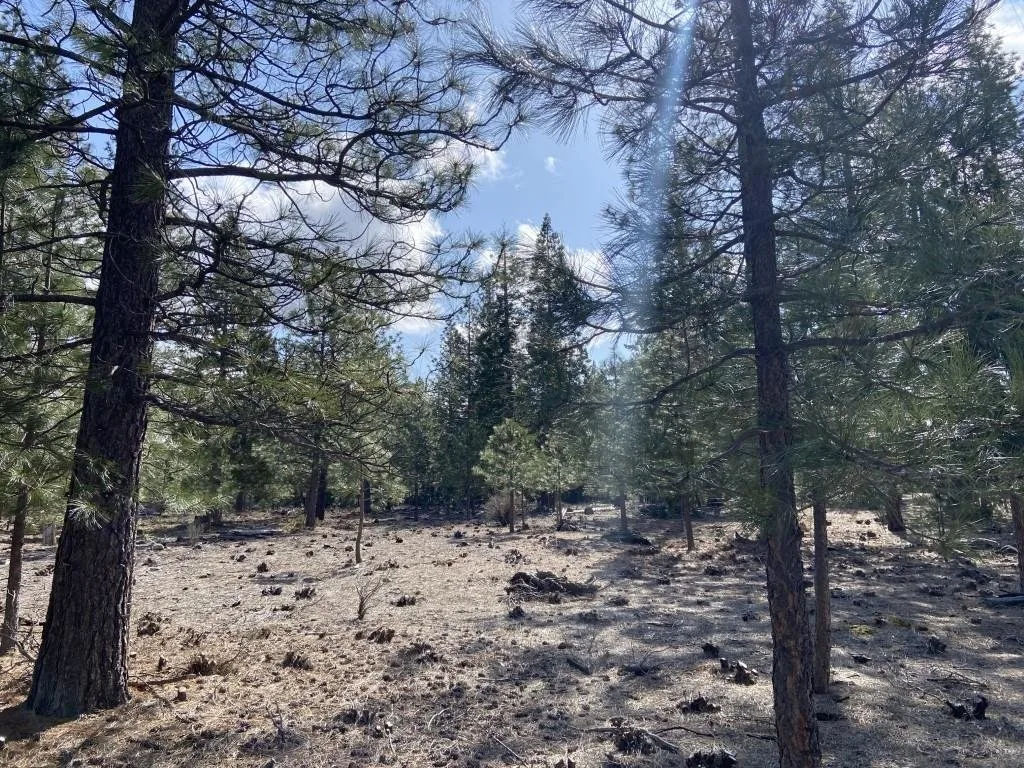Lot 63 Heather Pl, Weed — view 7 of 12