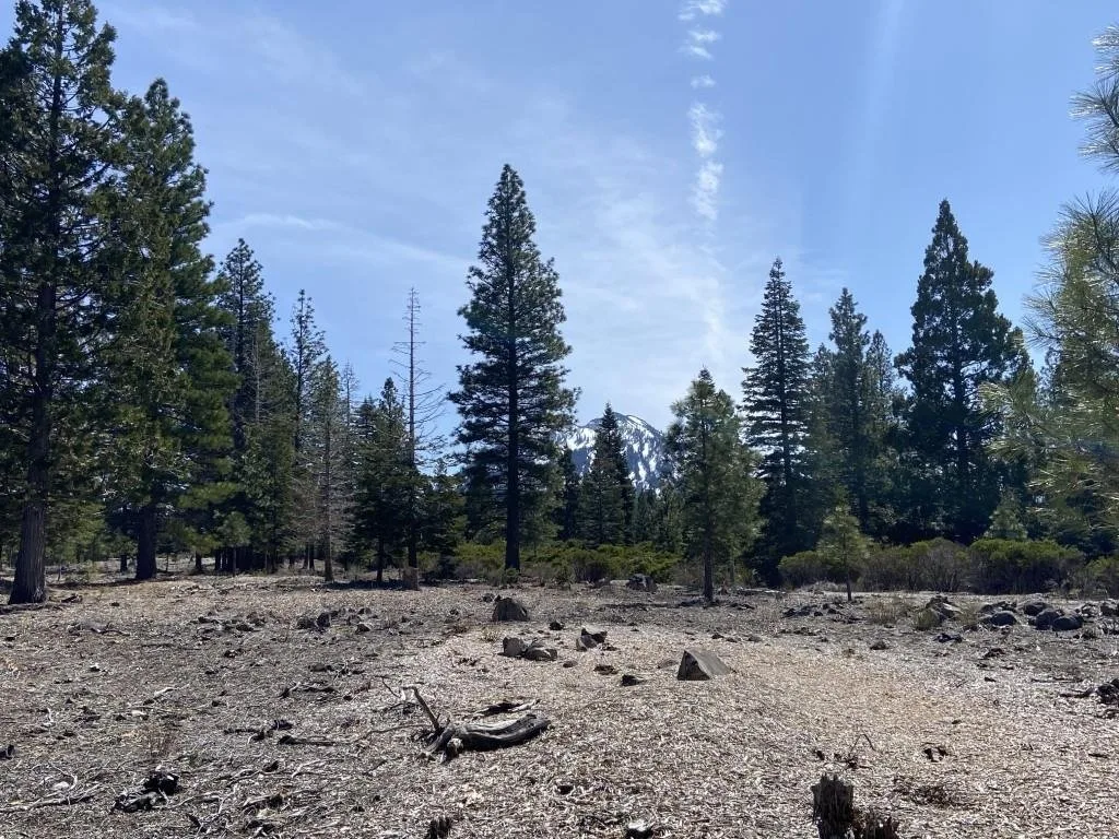 Lot 40 Hidden Meadow Dr, Weed — view 8 of 12