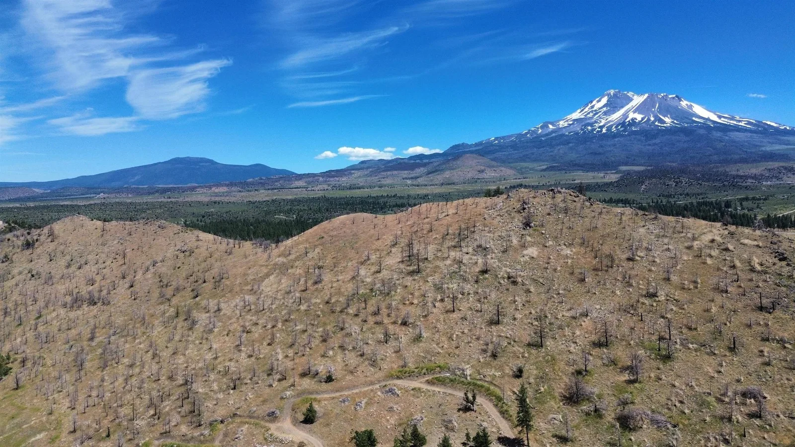 Zen Mountain, Weed — view 6 of 12