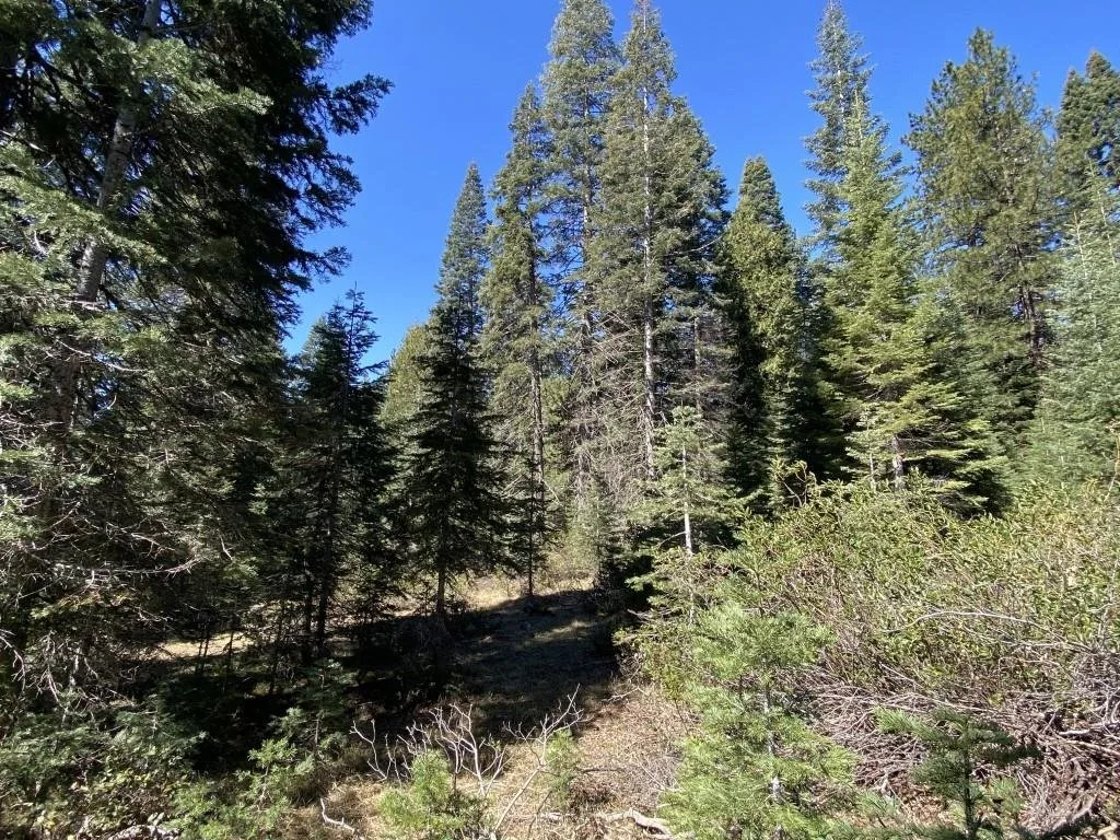 3-E-7 Mt Shasta Dr, McCloud — view 8 of 12