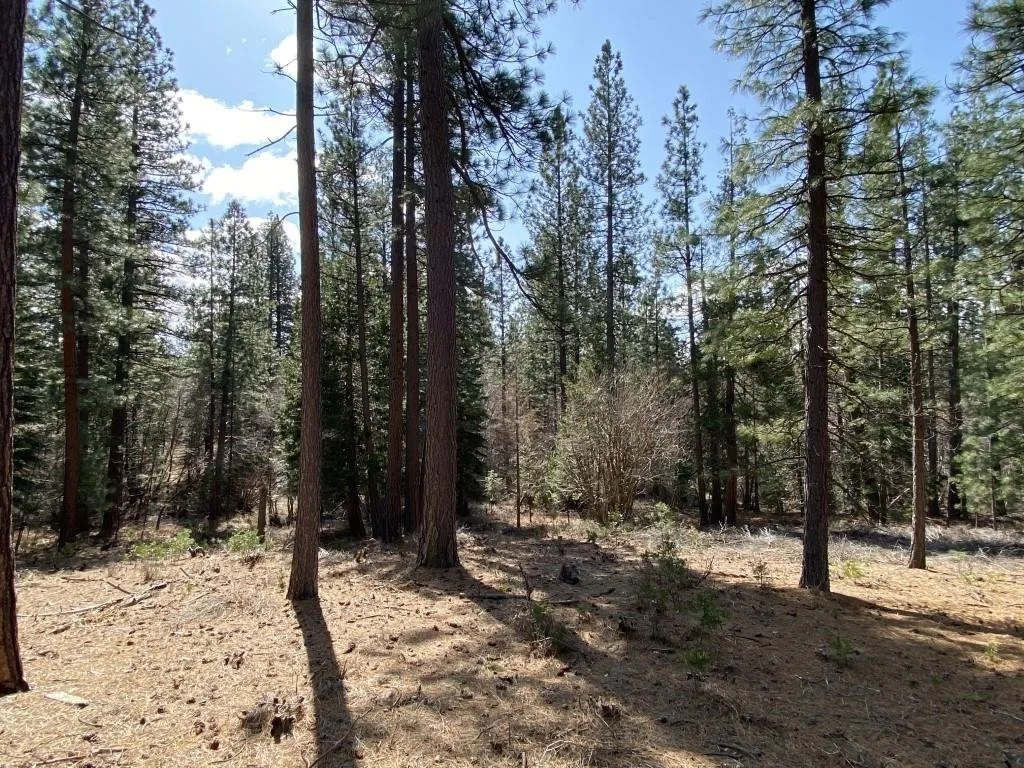 Lot 26 Meadow Ln, Weed — view 9 of 12