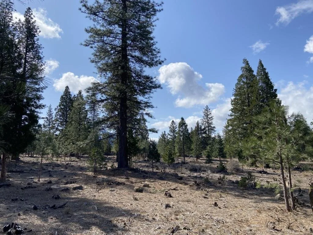 Lot 63 Heather Pl, Weed — view 6 of 12