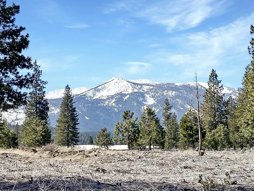 Lot 37 Hidden Meadow Dr, Weed — view 2 of 12
