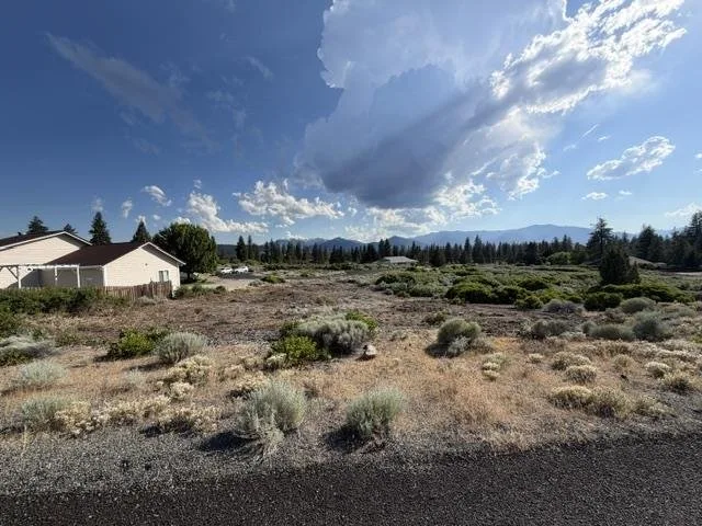 7-2/95 Prairie Dog Ct., Weed — view 4 of 5