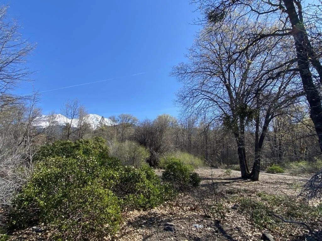 Lot 36 North Ridge Ct, Mount Shasta — view 3 of 12