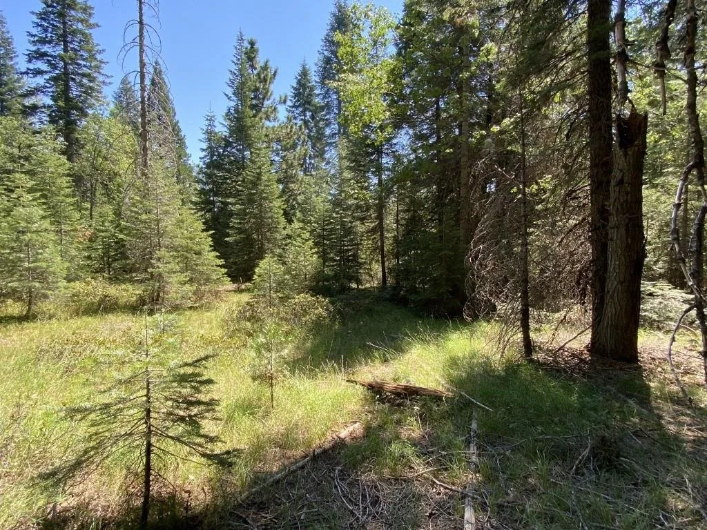 1-B-3 Cascade St, McCloud — view 3 of 12