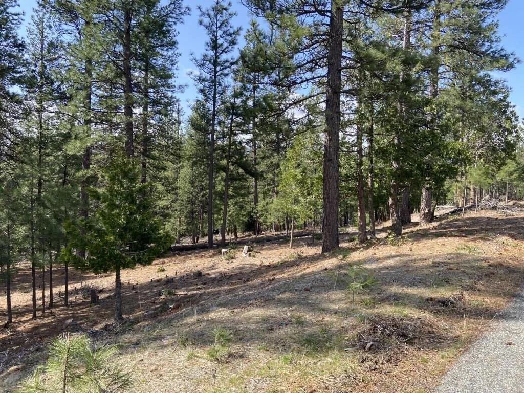 Lot 26 Meadow Ln, Weed — view 3 of 12