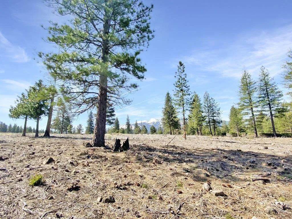 Lot 37 Hidden Meadow Dr, Weed — view 10 of 12