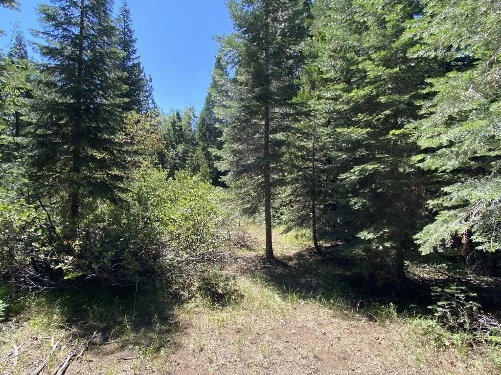 1-B-3 Cascade St, McCloud — view 6 of 12