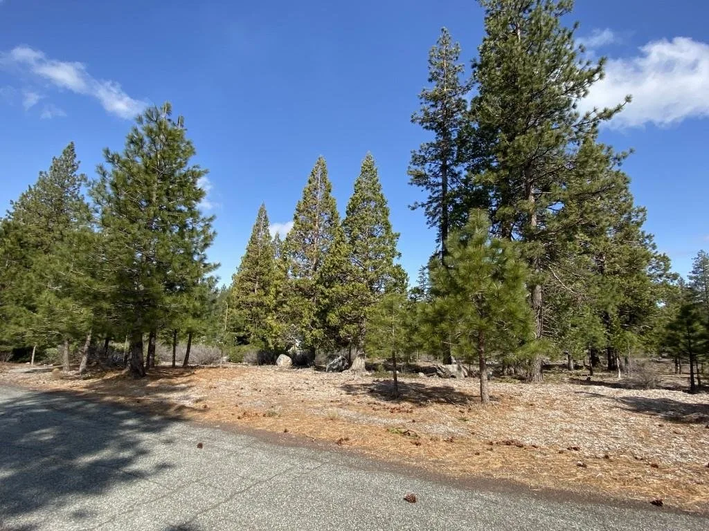 Lot 63 Heather Pl, Weed — view 12 of 12