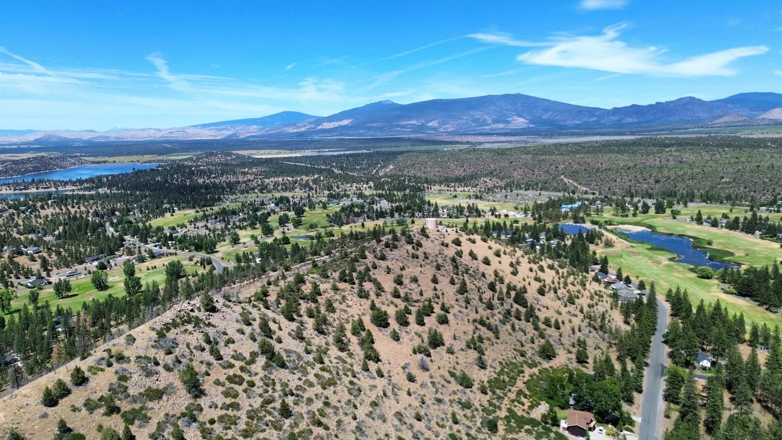 Zen Mountain, Weed — view 4 of 12