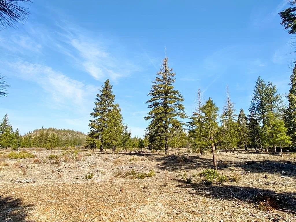 Lot 55 Hidden Meadow Dr, Weed — view 4 of 12