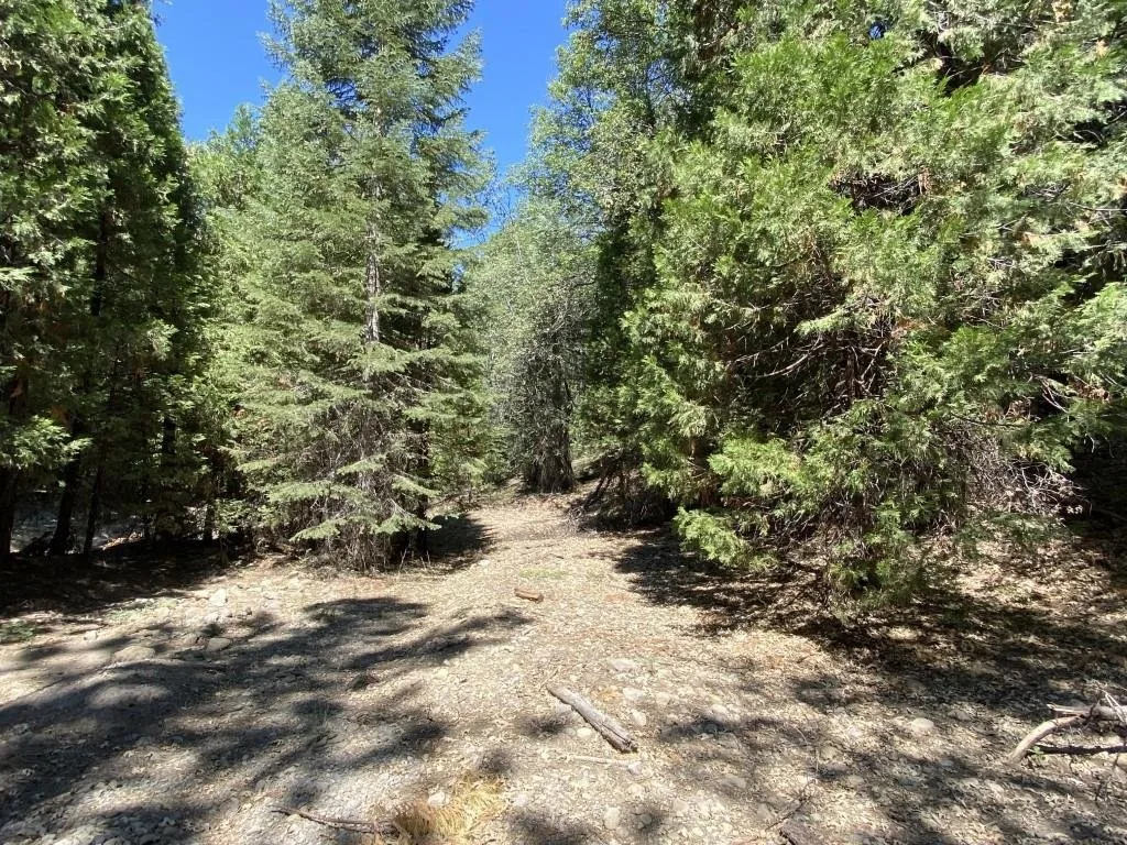 1-B-3 Cascade St, McCloud — view 8 of 12