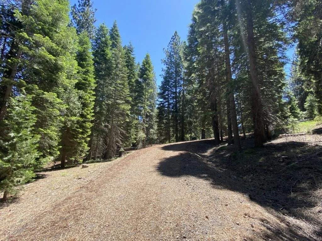 Lot 3 Twin Hills Ct, Mount Shasta — view 9 of 12