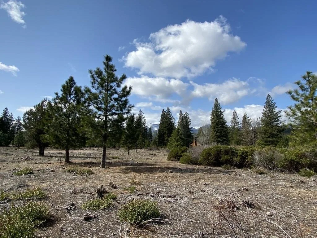 Lot 58 Heather Pl, Weed — view 7 of 12