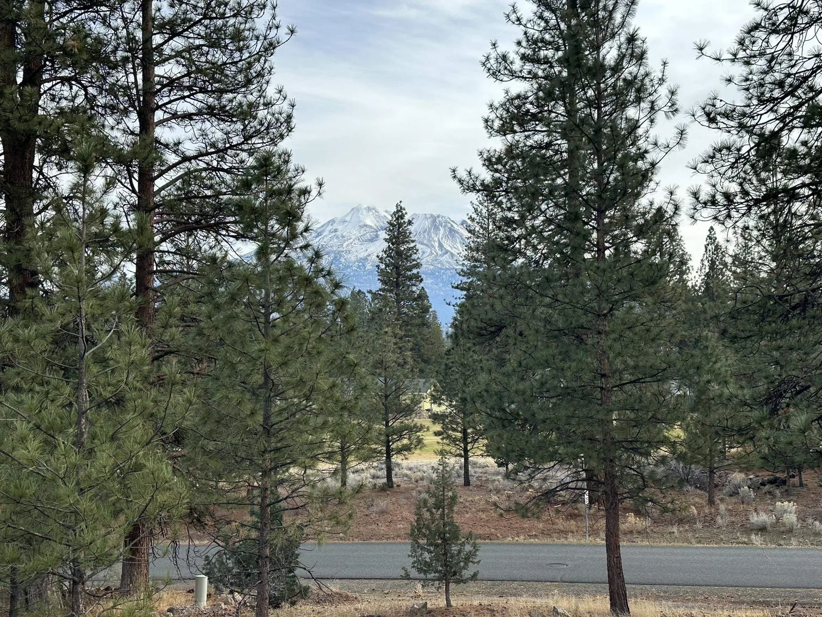 View at 5-3/276 Palmer Drive, Weed — 3 of 6