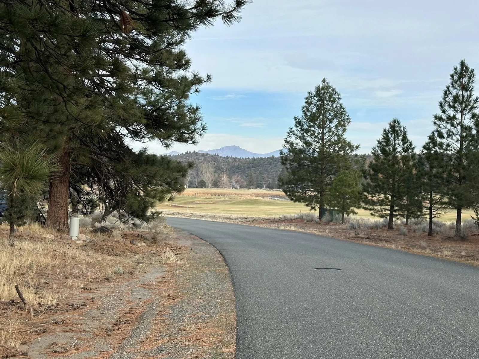 View at 5-3/276 Palmer Drive, Weed — 5 of 6