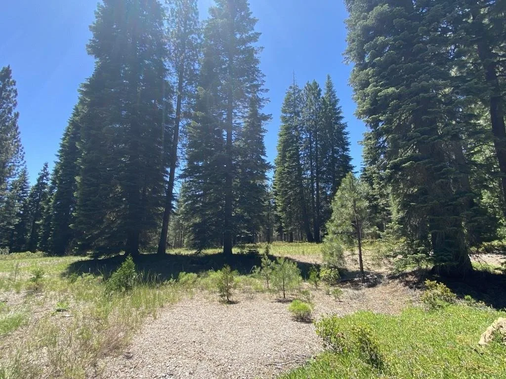 2-E-15 Snowline Cir, McCloud — view 11 of 12