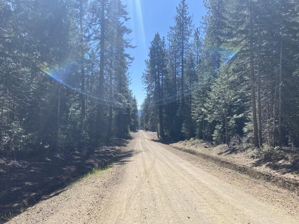 3-E-7 Mt Shasta Dr, McCloud — view 11 of 12