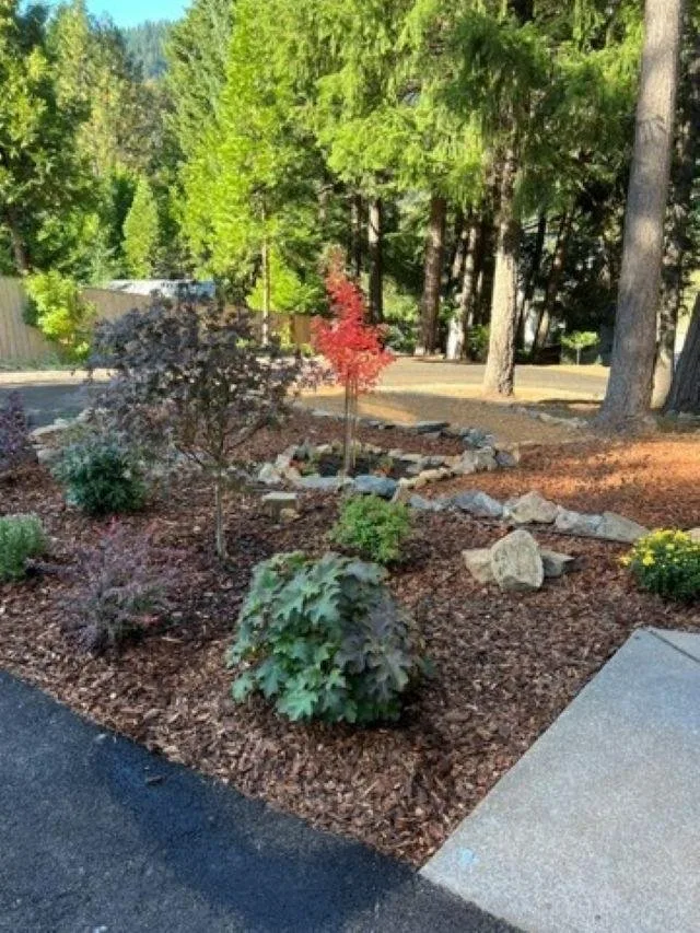 Outdoor space at 4000 Hope Ln, Dunsmuir