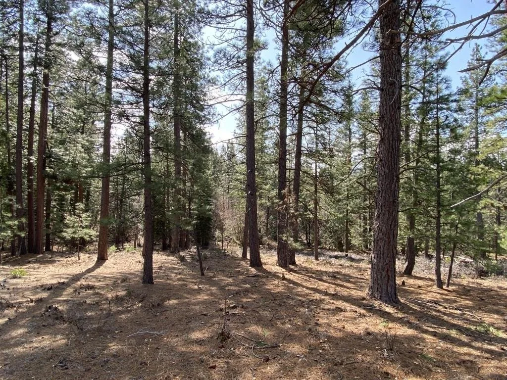 Lot 26 Meadow Ln, Weed — view 6 of 12