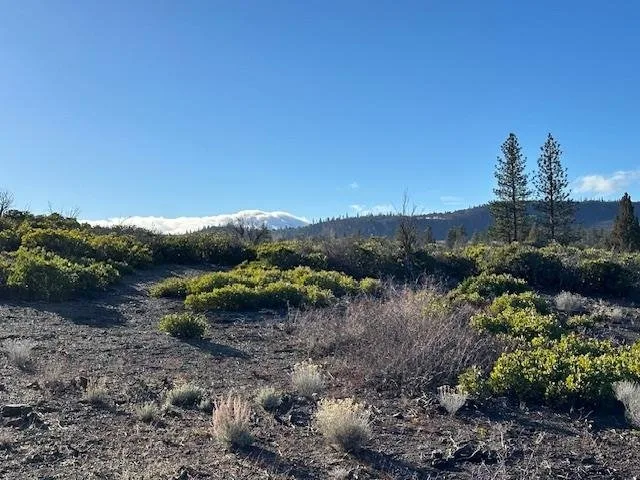 Blk 1 Lot 8 Jackson Ranch Road, Weed — view 5 of 6
