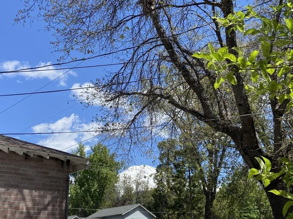 Exterior at Lots 4 & 5 Berry St, Mount Shasta — 4 of 5