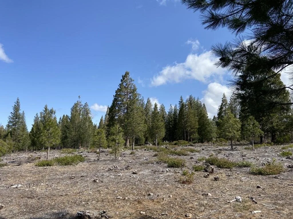 Lot 58 Heather Pl, Weed — view 12 of 12