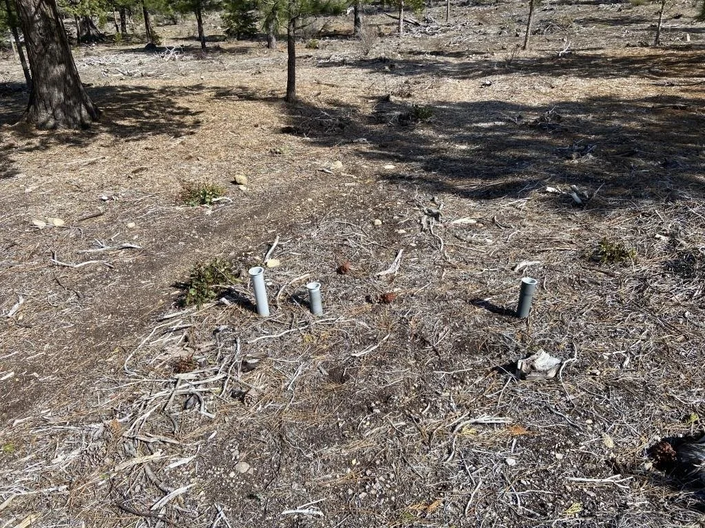 Lot 63 Heather Pl, Weed — view 9 of 12