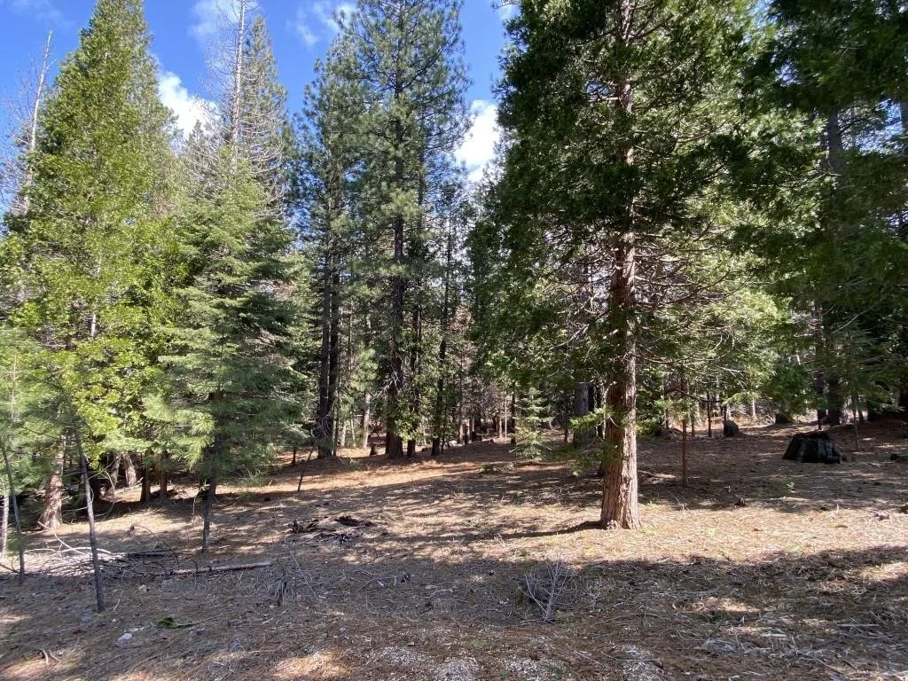 Lot 33 Glenhaven Ct, Weed — view 8 of 12