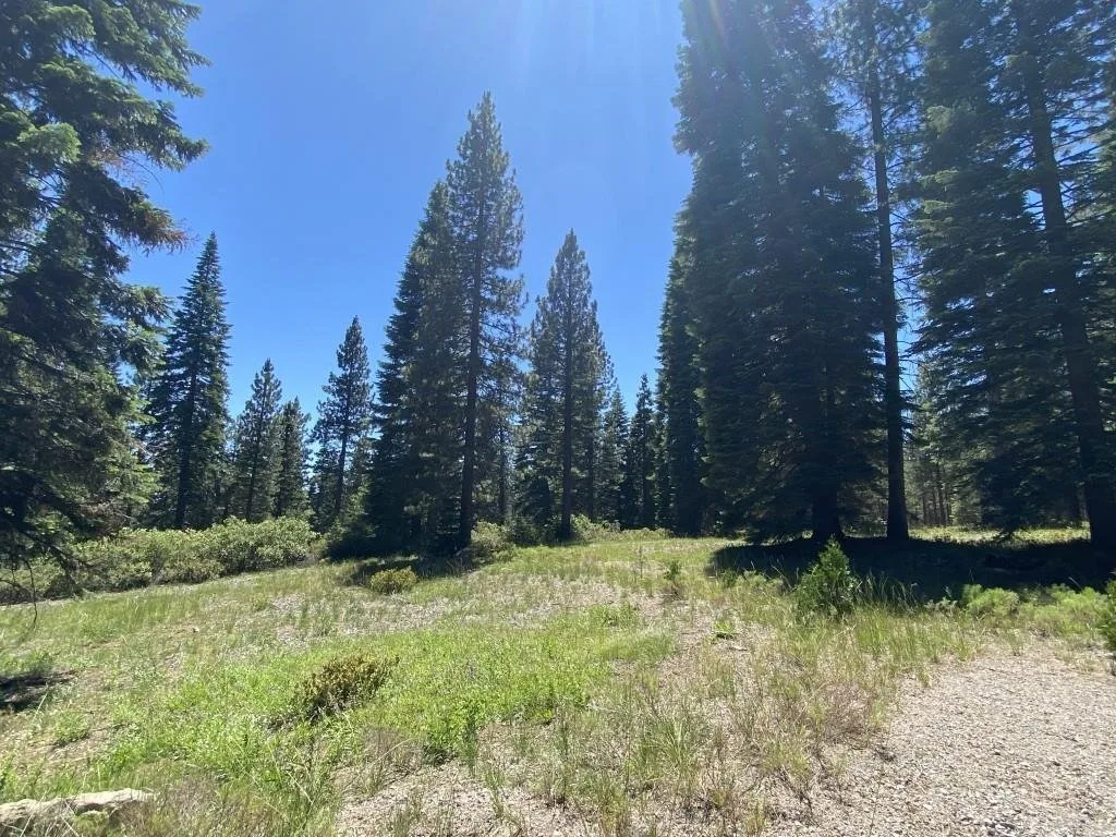 2-E-15 Snowline Cir, McCloud — view 10 of 12